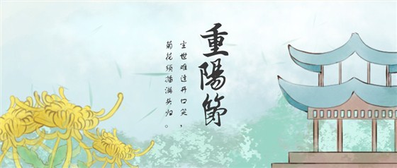 重阳菊花 重阳菊花