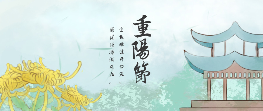 重阳菊花 重阳菊花