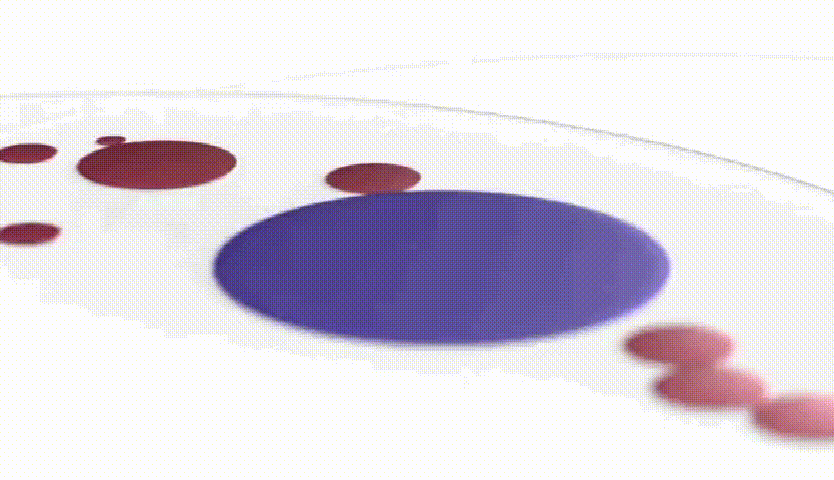 TIM图片20200630163505